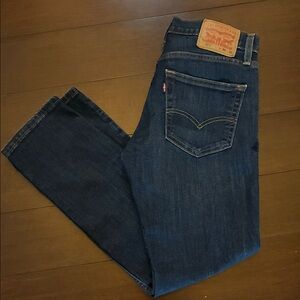 Levi's Men's Dark Indigo Straight Jeans